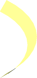 Hi-Res Cone 10 x 0.25