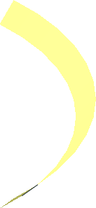 Hi-Res Cone 13 x 0.25