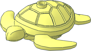 Animal Sea Turtle