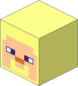 Minifig Head Cuboid with Minecraft Steve Pattern
