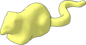 Animal Rat