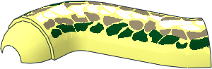 ~Animal Serpent Basilisk Tail/Neck S Curve - Top with Scales Pattern