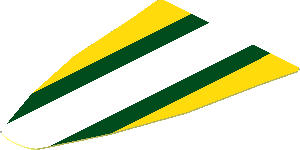 Sticker  2.2 x  1.4 with Yellow, Dark Green and White Stripes