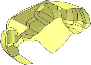 ~Animal Ostrich Body Right Shell