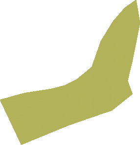 ~Animal Dragon Body Jaw Blank Patterned Areas