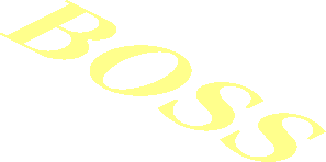 Logo Boss Text From 1924 To 2021