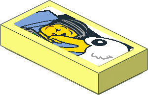 Tile  1 x  2 with Queasy Rider and Seagull Sticker