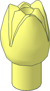 Plant Flower Tulip