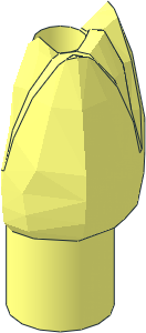 ~Plant Flower Tulip - Half