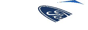 ~Sticker  4.6 x  5.8 with Ford Logos on Blue and White Background - Cutted Tile Tipe 4