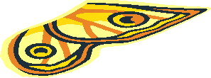 ~Animal Butterfly Yellow, Orange and Black Wing Pattern
