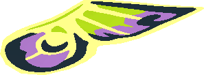 ~Animal Butterfly Black, Medium Lavender and Lime Wing Pattern