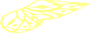 ~Animal Butterfly White Wings Pattern - Half