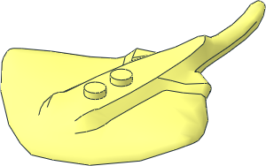 Animal Stingray
