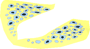 ~Animal Stingray Bright Light Blue / Black Spots Pattern