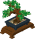 Bonsai