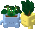 Happy Plants