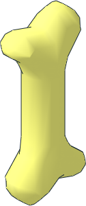 Bone 2L Bone 2L