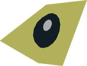 ~Animal Bird Seagull Eye Pattern