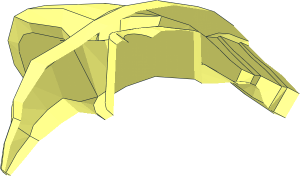 ~Animal Bird Crow - Half