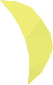 ~Lion / Tiger Cub Ear Inside