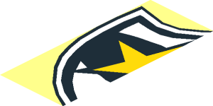 ~Police Badge - Yellow Star Pattern Half with Black Border