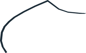 ~Police Badge - Yellow Star Pattern Half Black Border