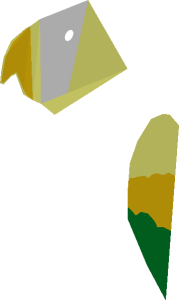 ~Animal Bird Parrot with Yellow/Green Wings Pattern - Half