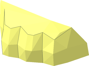 ~Animal Penguin Foot