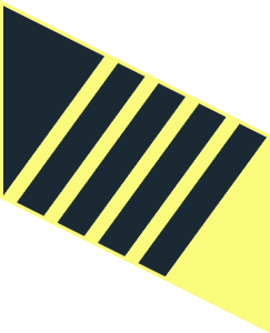 ~Brick  1 x  2 Surface with Black Triangle and  4 Stripes Right Aligned Pattern