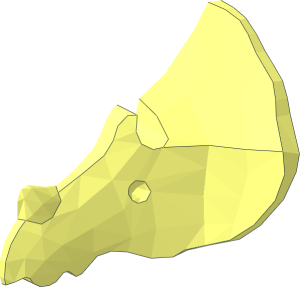 ~Animal Dinosaur Head Triceratops - Half