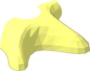 ~Animal Starfish Half