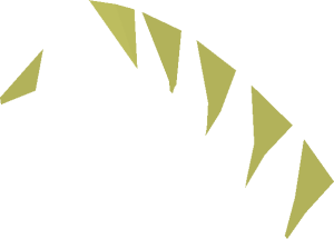 ~Animal Horse Head Mane