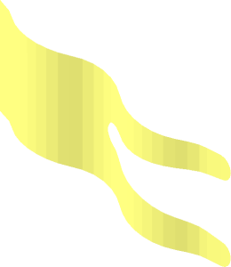 ~Duplo Flag Wavy  2 x  5 Patternable Surface