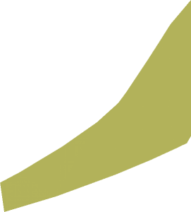 ~Plane Front  6 x 10 x  4 - Half Side Pattern Area