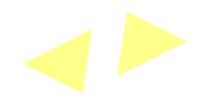 Logo Maersk Line / Sealand White "N"