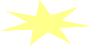 Logo Maersk Star