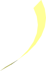 Hi-Res Cone 16 x 0.1667