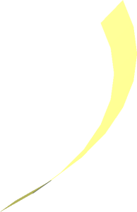 Hi-Res Cone 17 x 0.1667