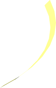 Hi-Res Cone 31 x 0.1667