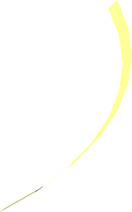 Hi-Res Cone 46 x 0.1667