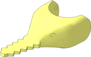 Animal Sawfish Head