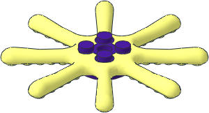 Animal Octopus Tentacles 8 x 8 with Medium Lilac Centre Pattern Animal Octopus Tentacles 8 x 8 with Medium Lilac Centre Pattern