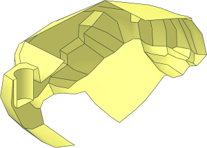 ~Animal Ostrich Body Right Shell