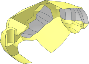 ~Animal Ostrich Body Right Shell with White Feathertip Pattern