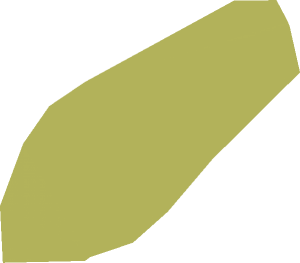 ~Animal Dog Terrier Side