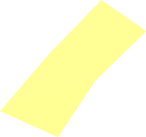 ~Animal Rat with Bent Tail Blaze Area