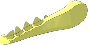 ~Animal Dragon Head Jaw Lower - Half