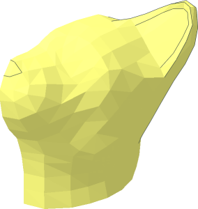 ~Animal Cat Standing Looking Upwards Head Half