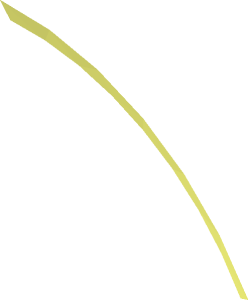 ~Tyre 35/ 55 x 43 R Tractor Adapter  1/12